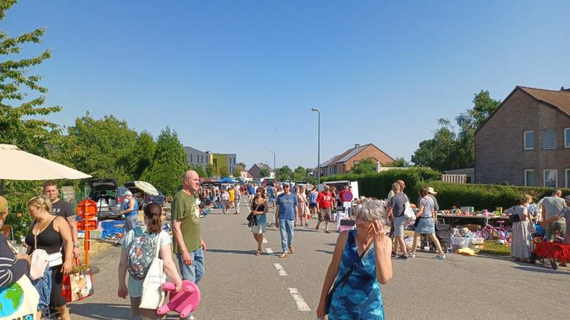 Emelkoen bruist  4 - Reuze Rommelmarkt met Boeken-, Vinyl- en CD‑Beurs in Humelgem 